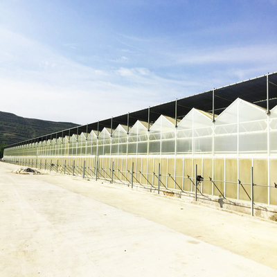 El 90 por ciento de red agra tratada ultravioleta de la sombra para la verdura de la agricultura