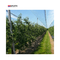 Paño anti de alta densidad de la red del saludo para la red de la protección del saludo del manzano de los jardines