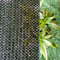 Resistente ULTRAVIOLETA neto del 70 por ciento de la sombra verde agra de la charca de la prueba de la lluvia