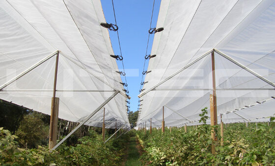 Red de granizo duradera hecha con material 100% HDPE virgen que proporciona protección contra daños por granizo para jardines y manzanos
