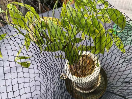 La garza anti Koi Fish Pond Net Protection de la piscina cubre el HDPE del 15ft de los x 20ft