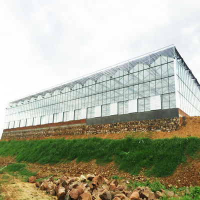 Sombra agra del verde de 95 guarda-brisas que pesca la sombra de la tela del HDPE