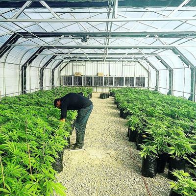 Red plástica de la sombra de Agri del patio al aire libre del 60% para el huerto