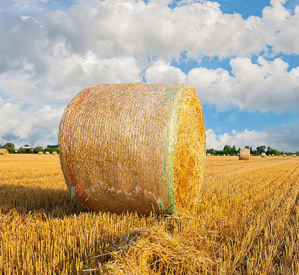 ULTRAVIOLETA anti del plástico del abrigo de la red de la bala 8.33GSM con la línea amonestadora